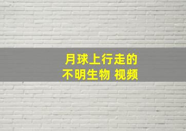 月球上行走的不明生物 视频